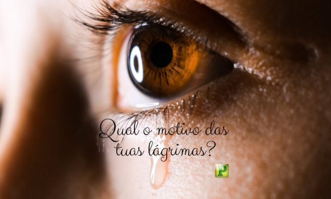 Neemias 2:3 – Qual o motivo das tuas lágrimas? img