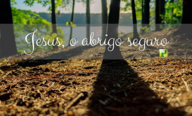 Salmo 91:1 – Jesus, o abrigo seguro img