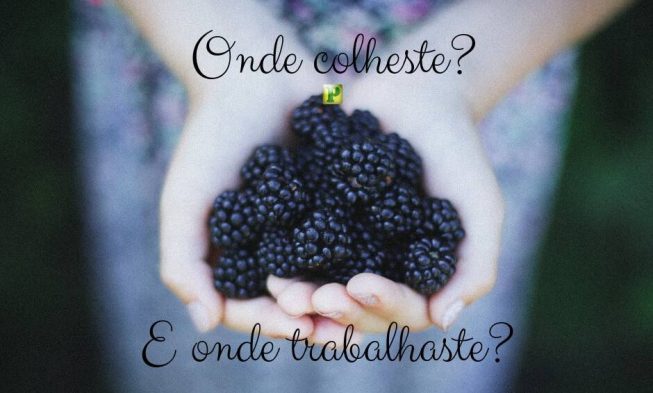 Rute 2:19 – Onde colheste e onde trabalhaste? img