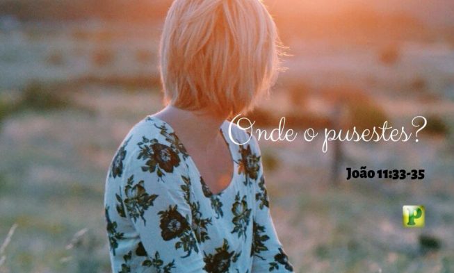 João 11:33-35 – Onde o puseste? img