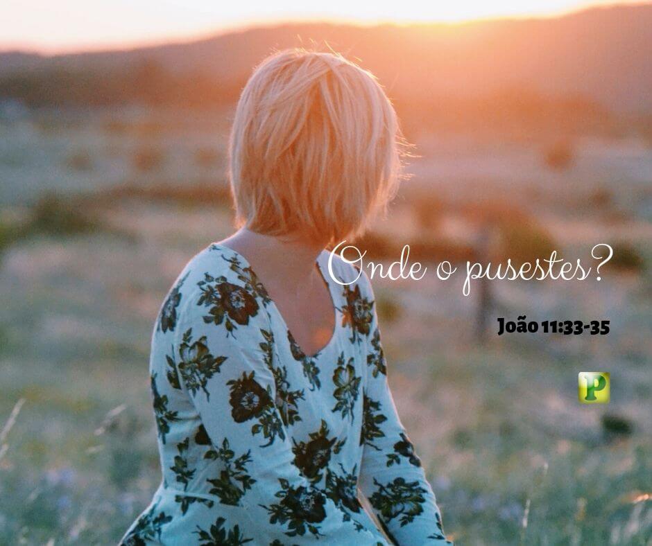 João 11:33-35 - Onde o puseste?