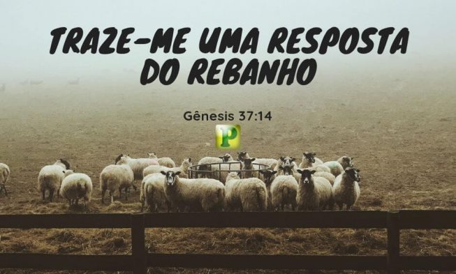 Gênesis 37:14 – Traze-me uma resposta do rebanho img