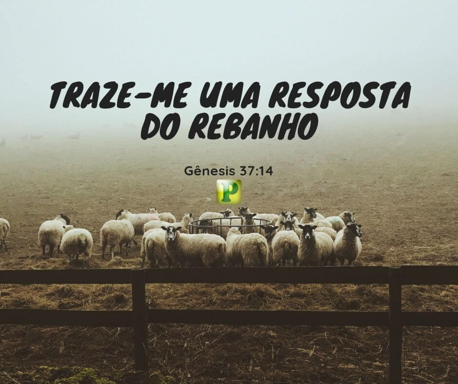 Gênesis 37:14 - Traze-me uma resposta do rebanho