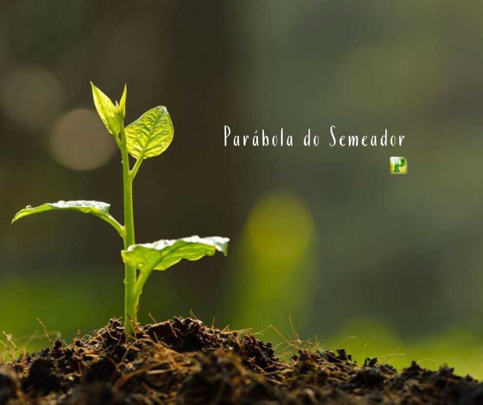 Parábola do Semeador - Mateus 13:1-9 18-23