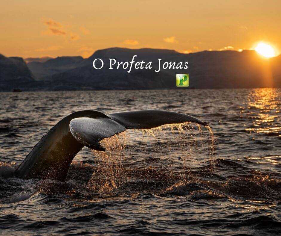 Profeta Jonas - Mateus 16:17