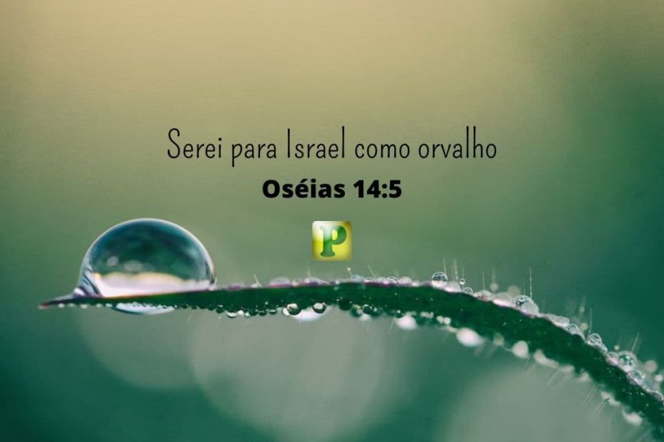 Serei para Israel como orvalho - Oséias 14:5