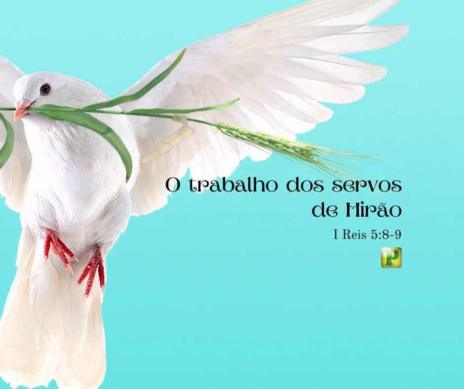 O trabalho dos servos de Hirão - I Reis 5:8-9