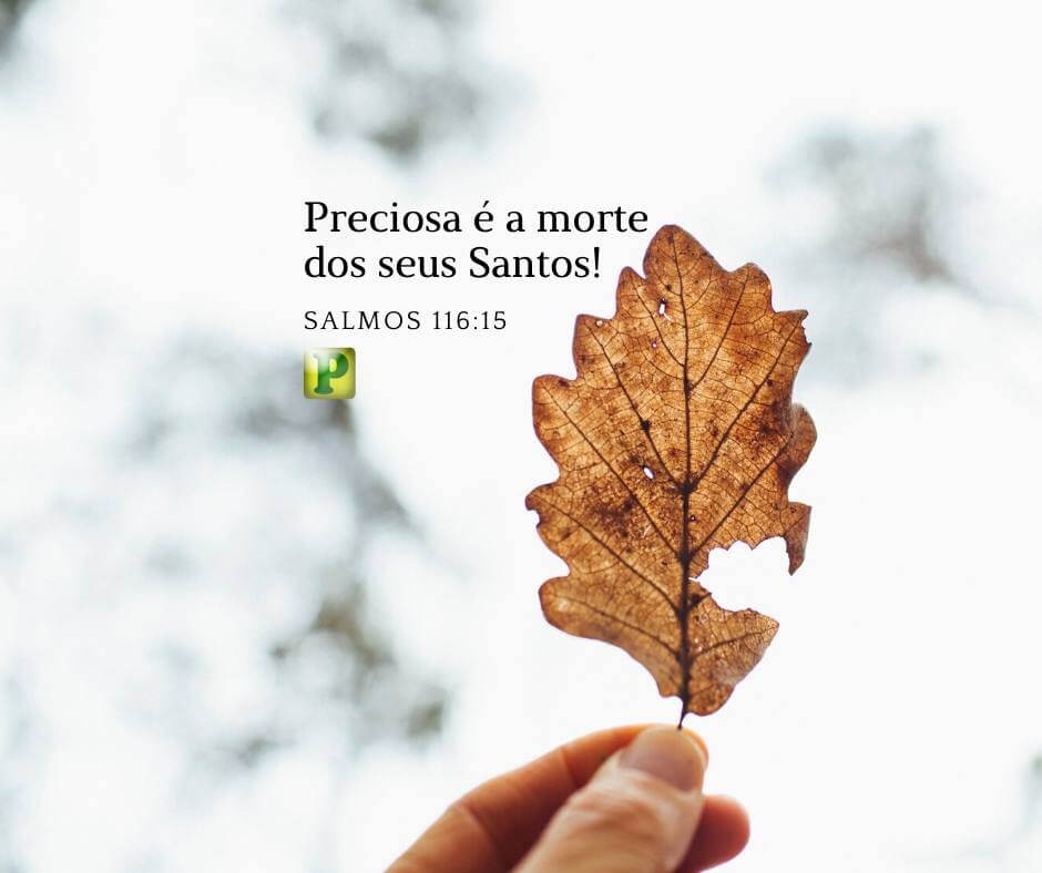 Preciosa é a morte dos seus Santos - Salmos 116:15