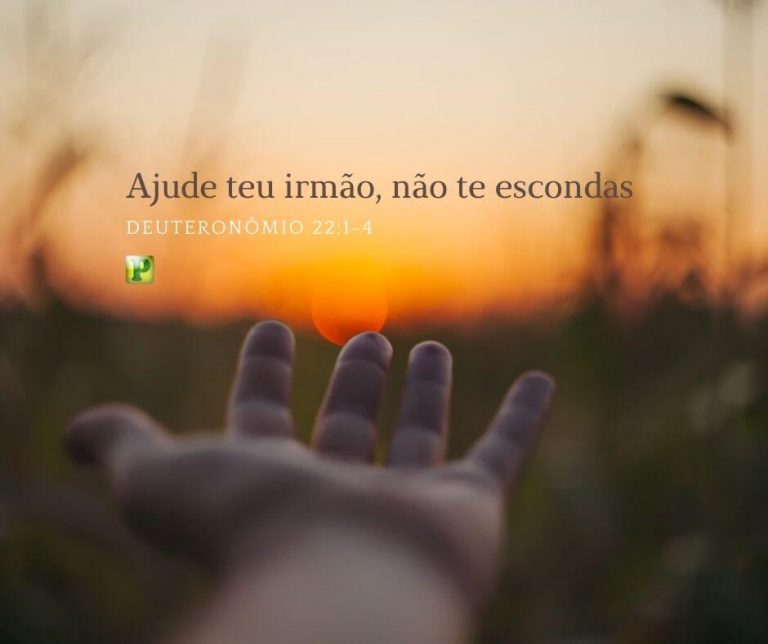 Ajude teu irmão, não te escondas Deuteronômio 2214