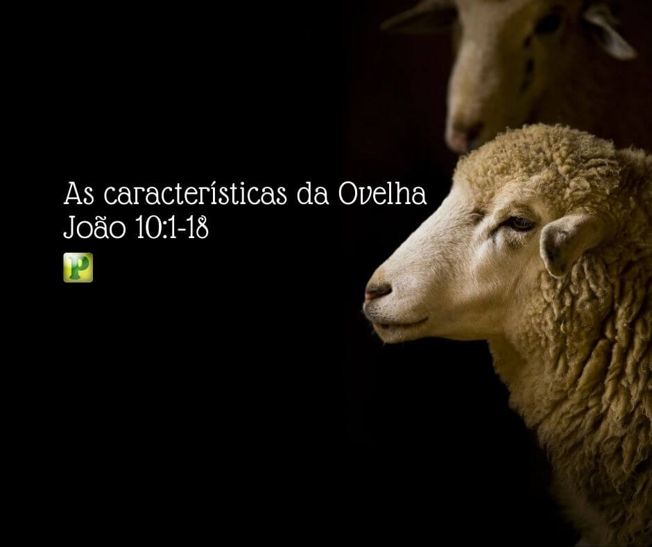 As características da Ovelha - João 10:1-18