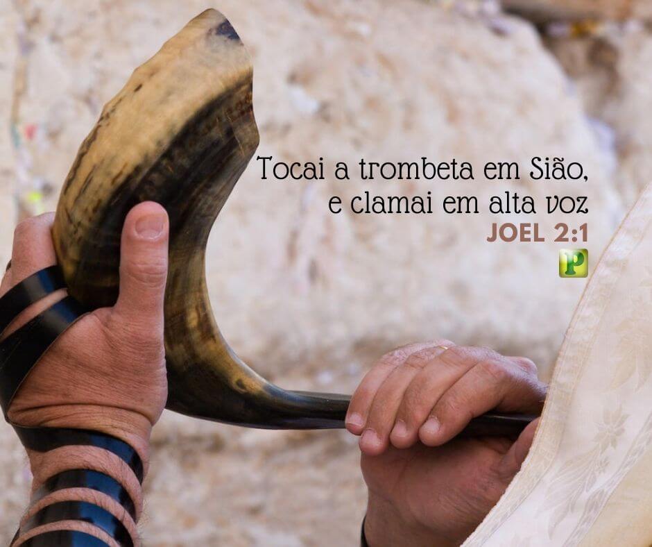 Tocai a trombeta em Sião, e clamei em alta voz - Joel 2:1