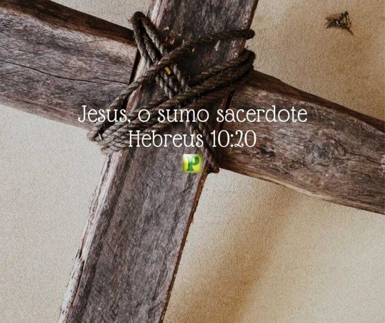 Jesus, o sumo sacerdote – Hebreus 10:20