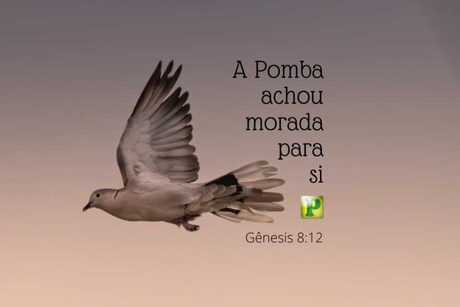 A Pomba achou morada para si! - Gênesis 812 - Pregação