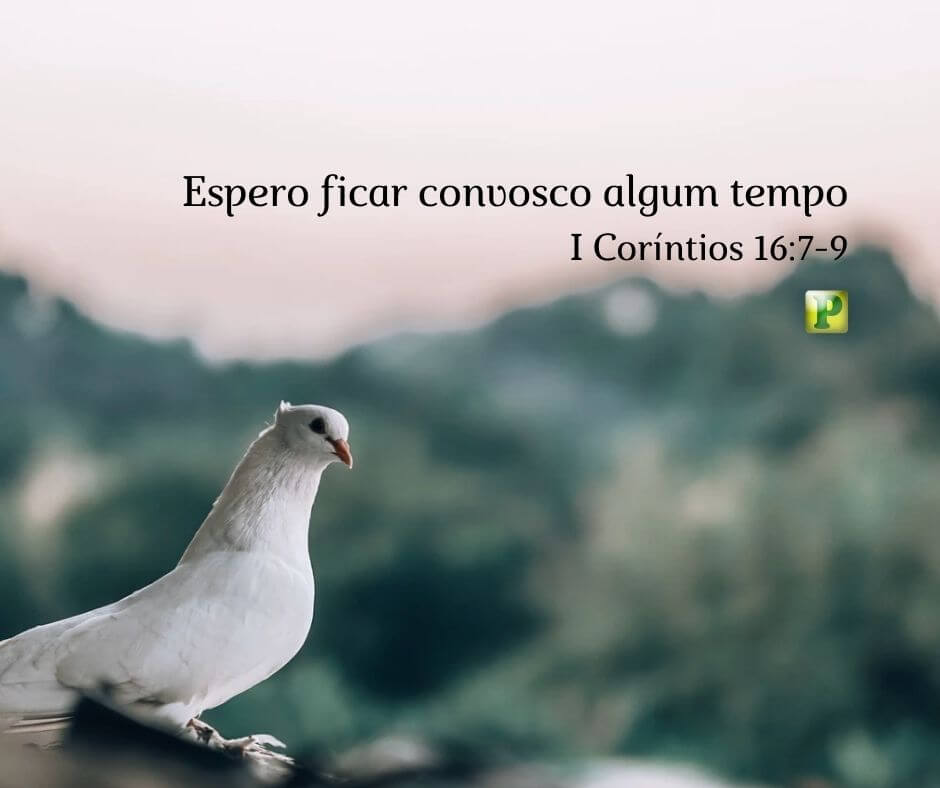 I hope to stay with you for a while - I Corinthians 16:7-9