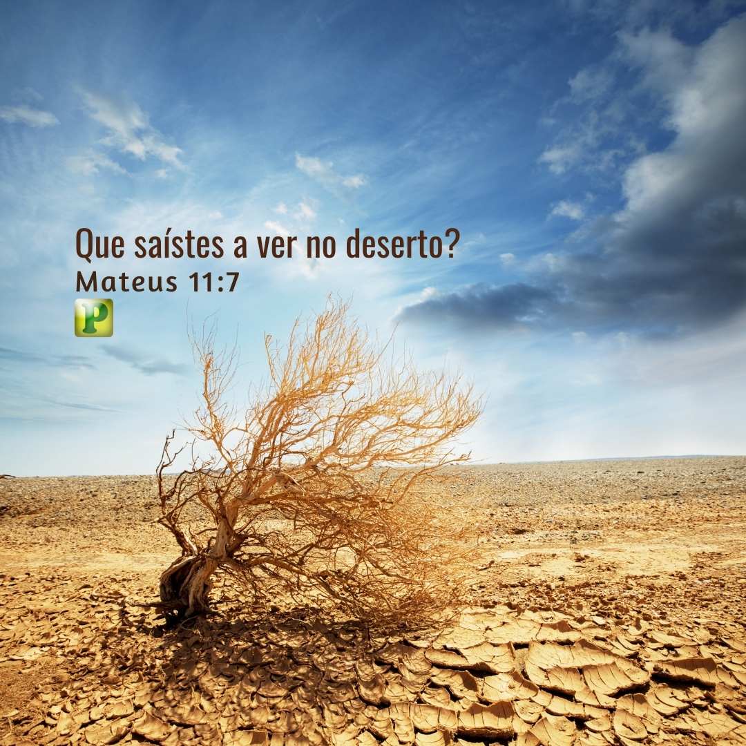 Que saíste a ver no deserto? - Mateus 11: 7