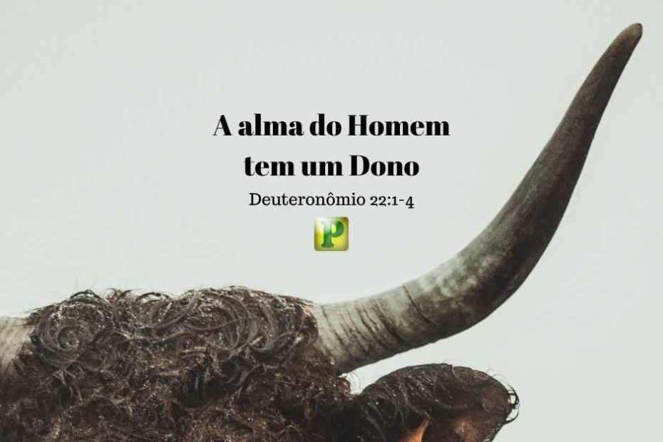 A alma do Homem tem um Dono – Deuteronômio 22:1-4