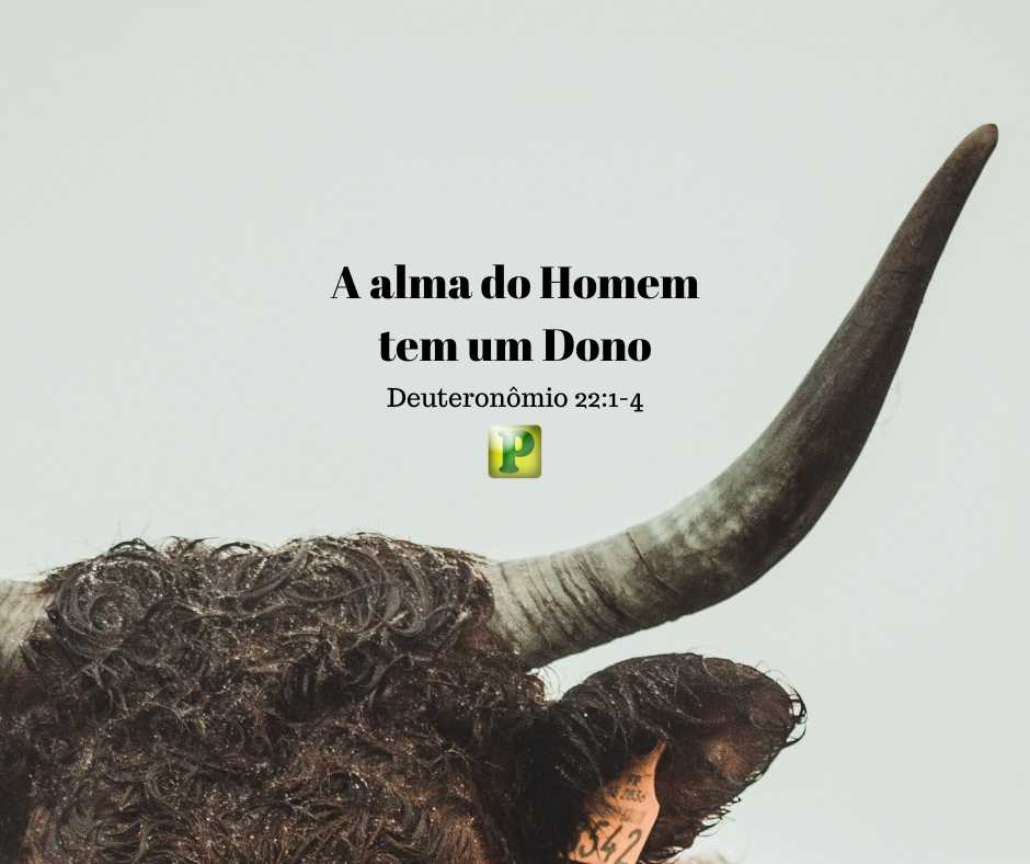 A alma do Homem tem um Dono – Deuteronômio 22:1-4