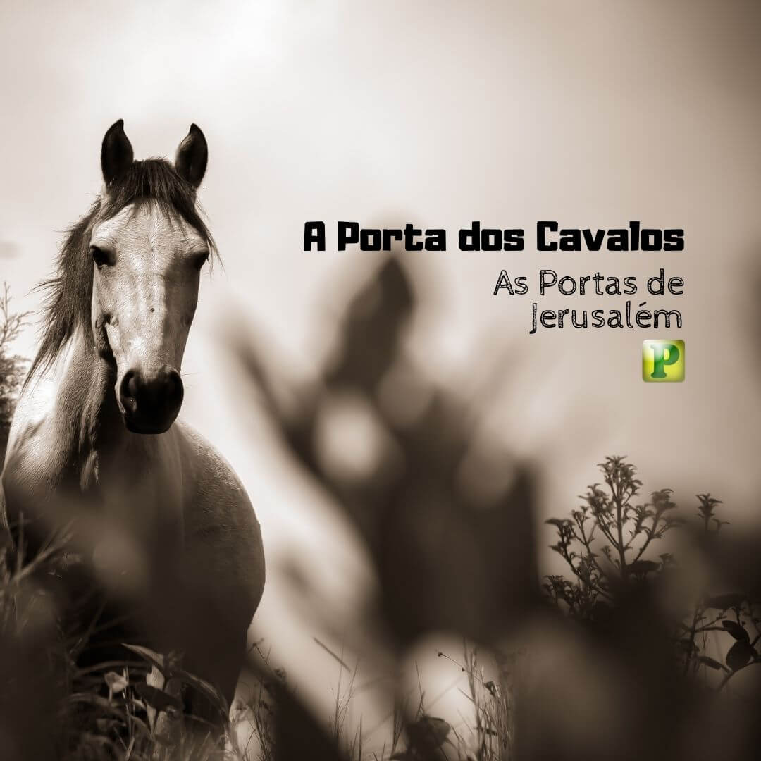 Porta dos Cavalos - Neemias 3:2