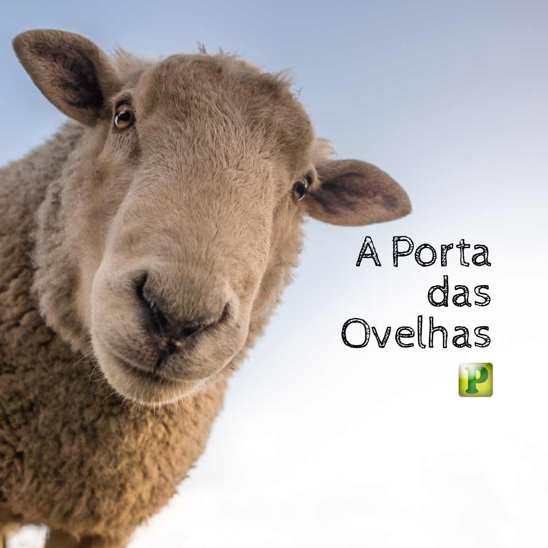 A Porta das Ovelhas - Neemias 3:1