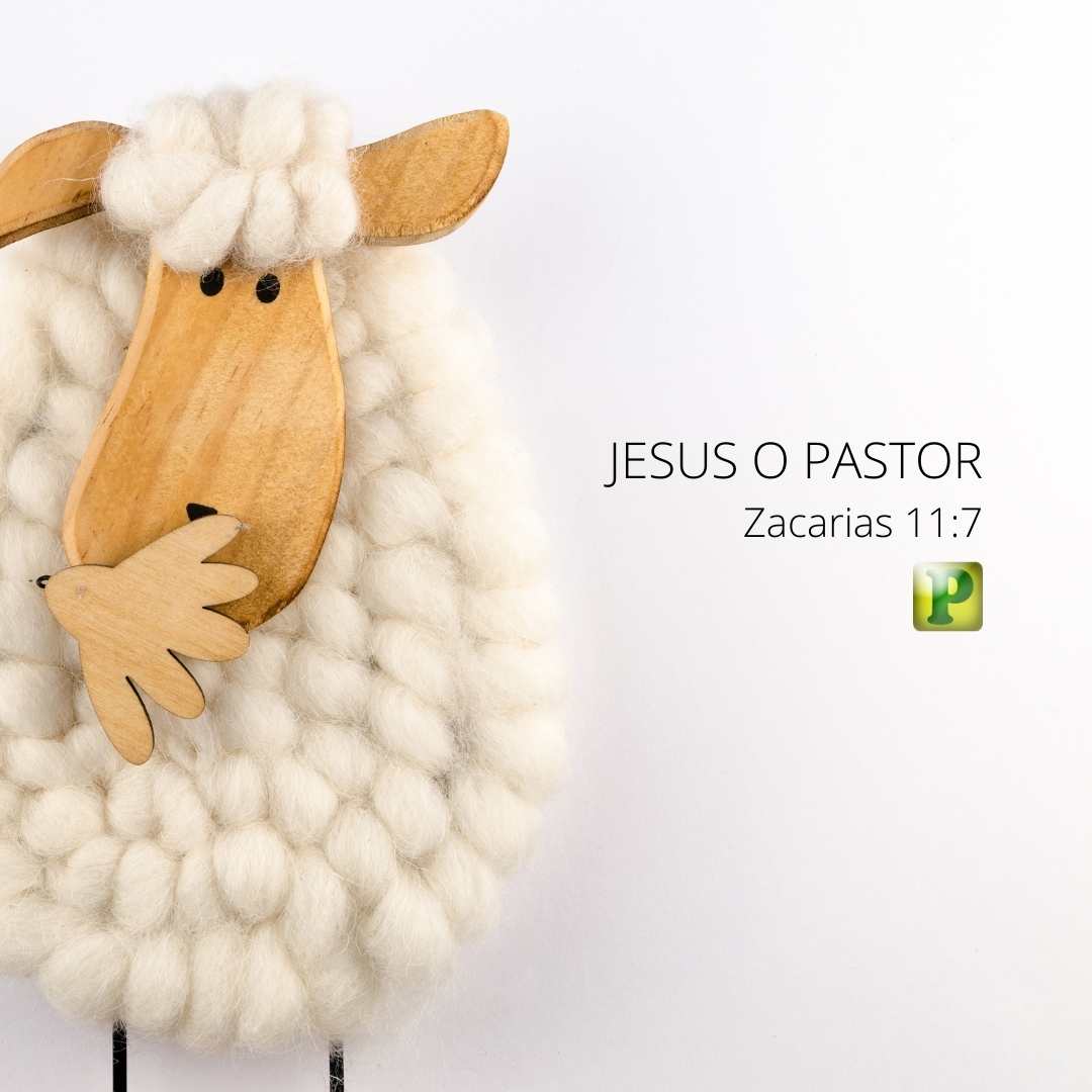 JESUS O PASTOR - Zacarias 11:7