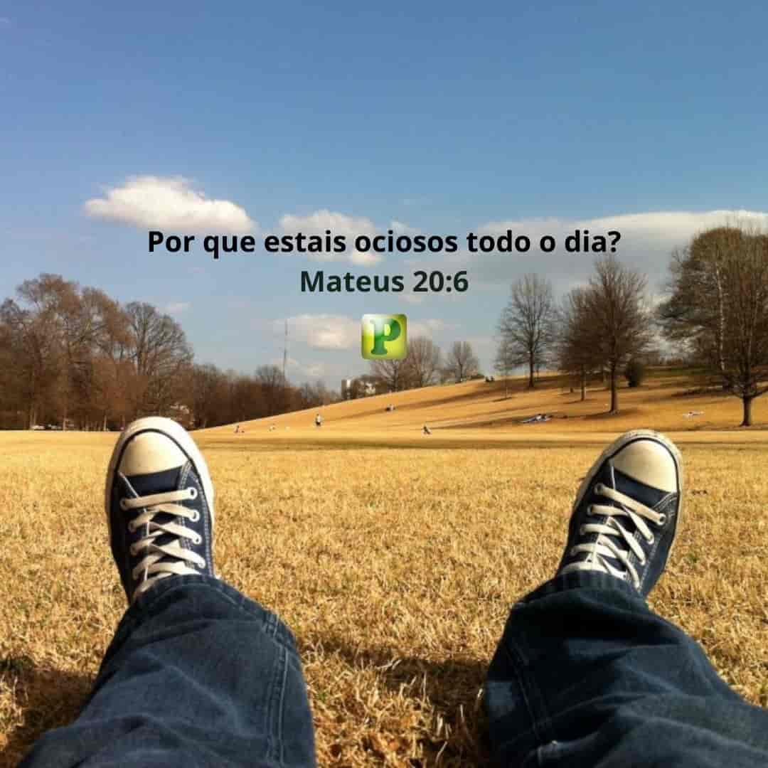 Por que estais ociosos todo o dia? - Mateus 20:6