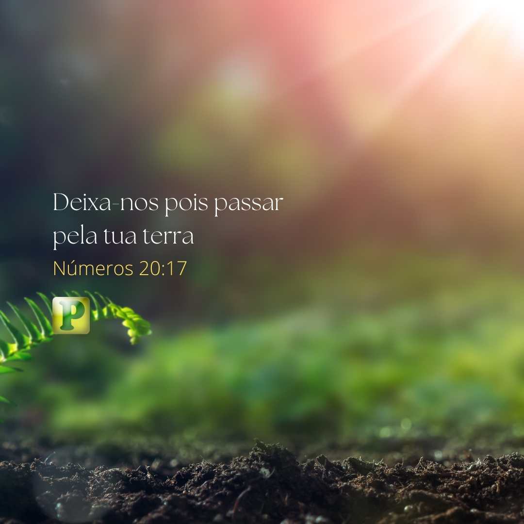 Deixa-nos, pois, passar pela tua terra - Números 20:17