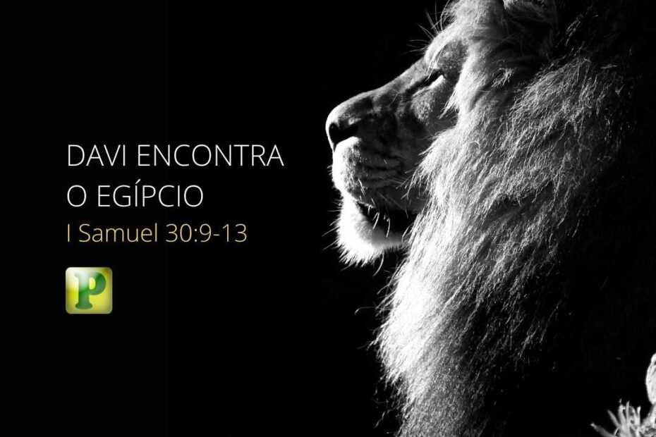 Davi e o Egípcio - Pregação Textual em 1 Samuel 30:1-15