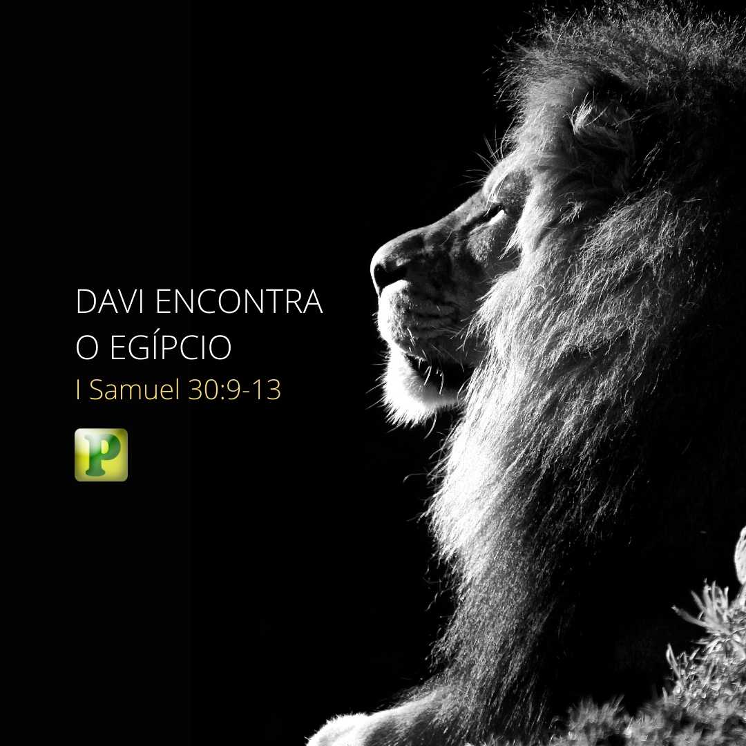 Davi e o Egípcio - Pregação Textual em 1 Samuel 30:1-15