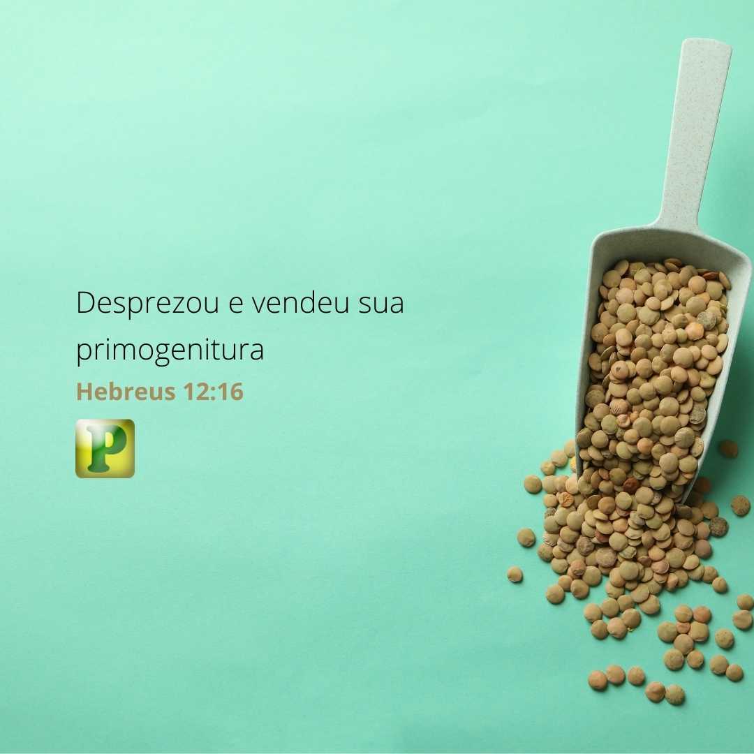 Desprezou e vendeu sua primogenitura - Hebreus 12:16