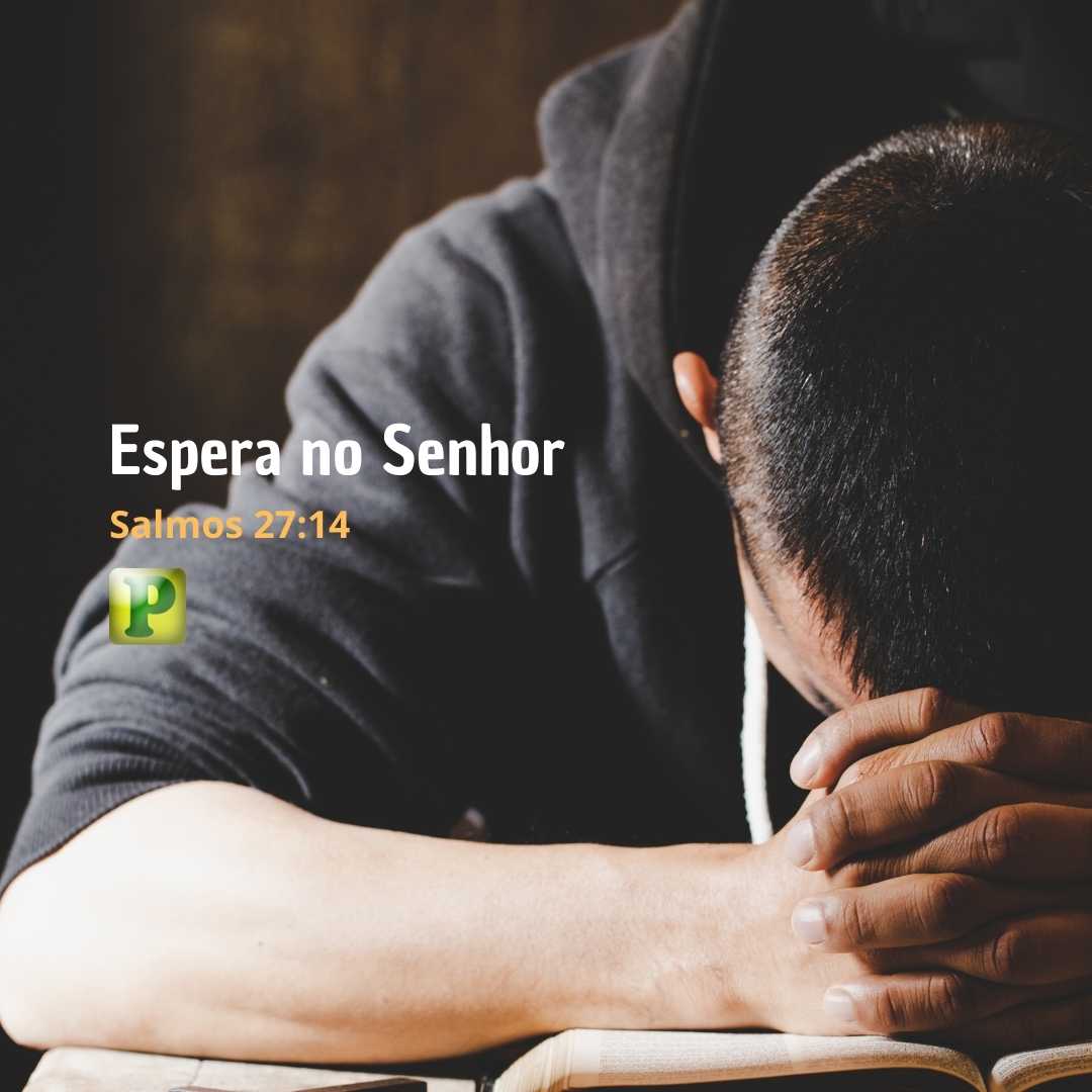 Espera no Senhor - Salmos 27:14