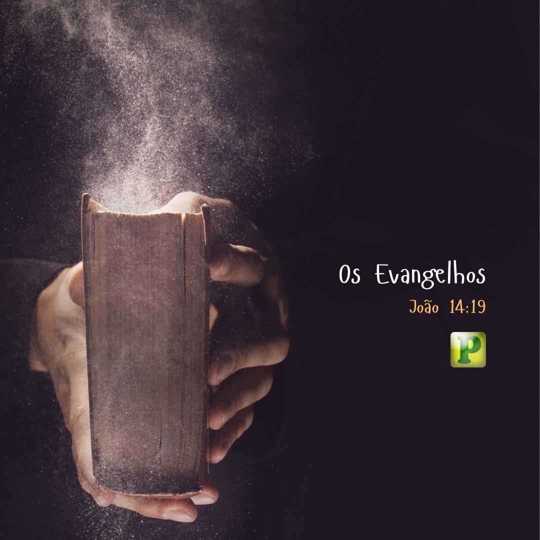 Os Evangelhos - João 14:19