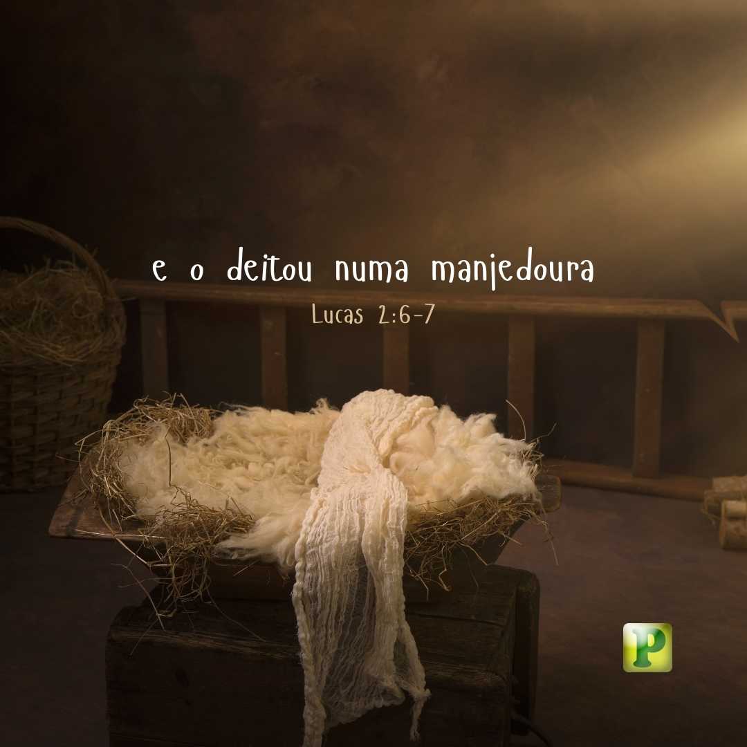 e o deitou numa manjedoura - Lucas 2:6-7