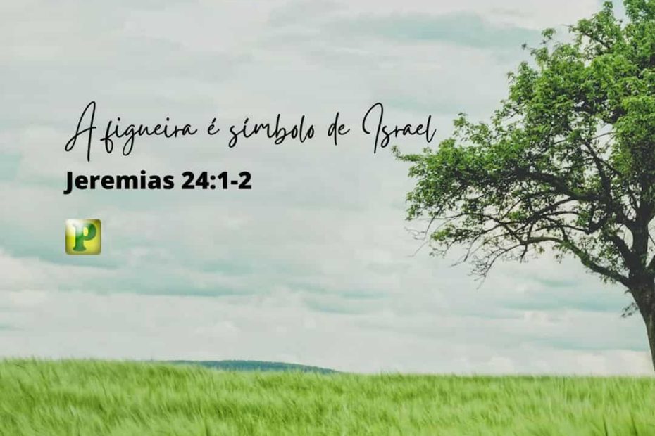 A figueira é símbolo de Israel - Jeremias 24:1-2