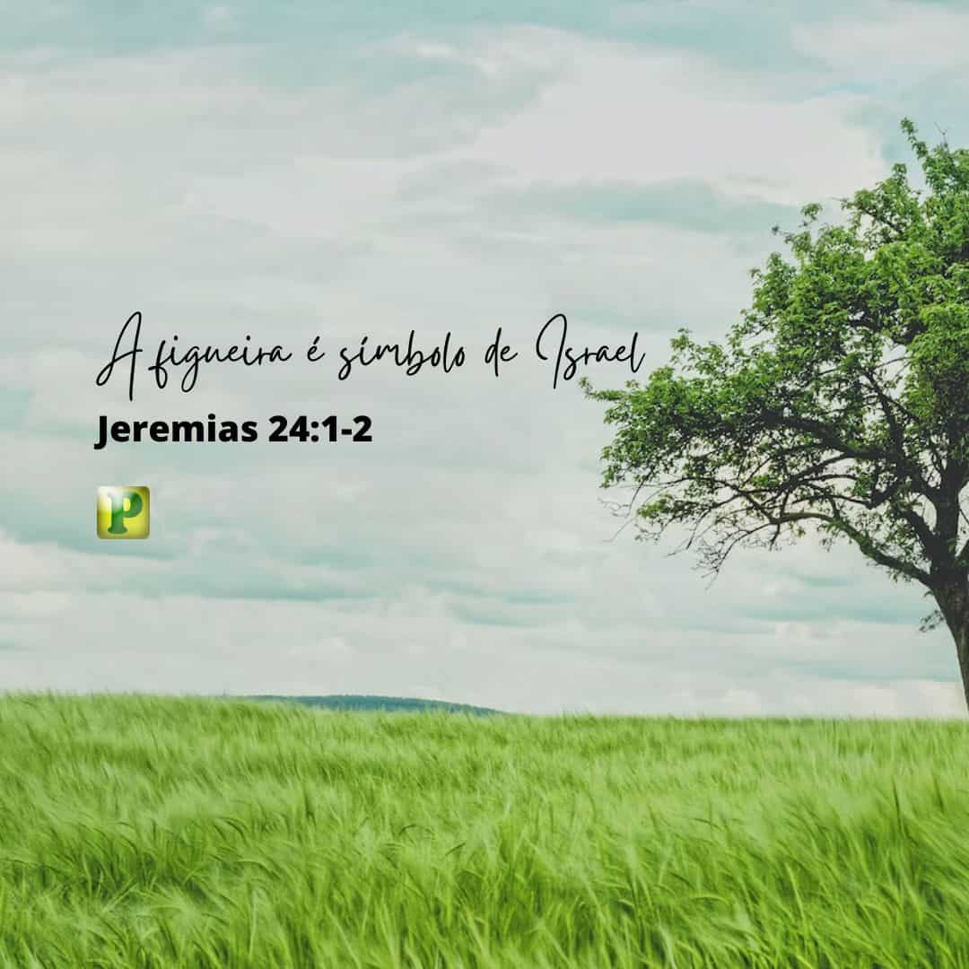 A figueira é símbolo de Israel - Jeremias 24:1-2