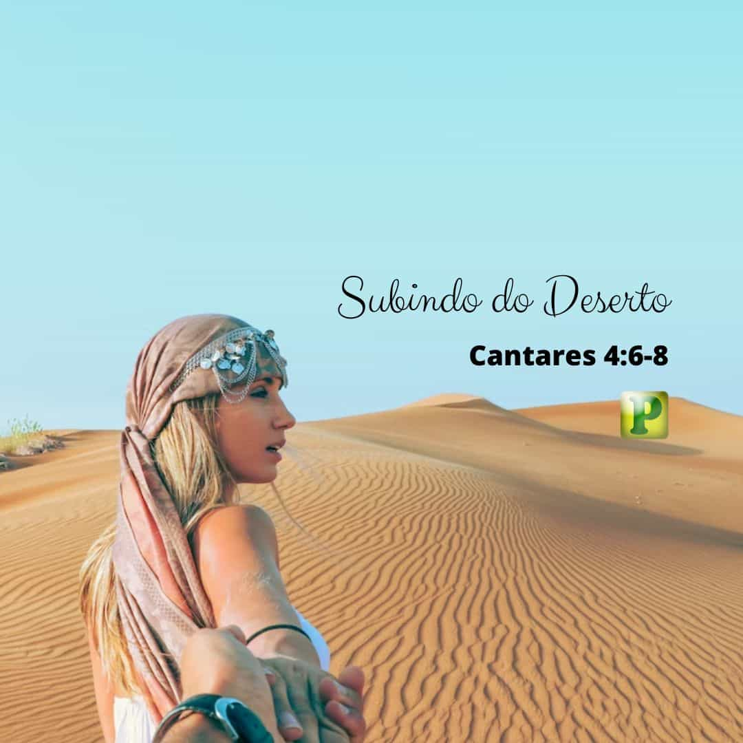 Provérbios 4:6-8 - Bíblia