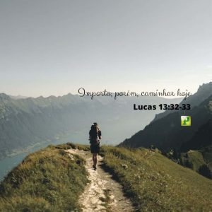 Importa, porém, caminhar hoje - Lucas 13:32-33