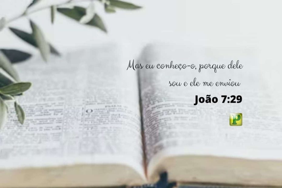 Mas eu conheço-o, porque dele sou e ele me enviou - João 7:29