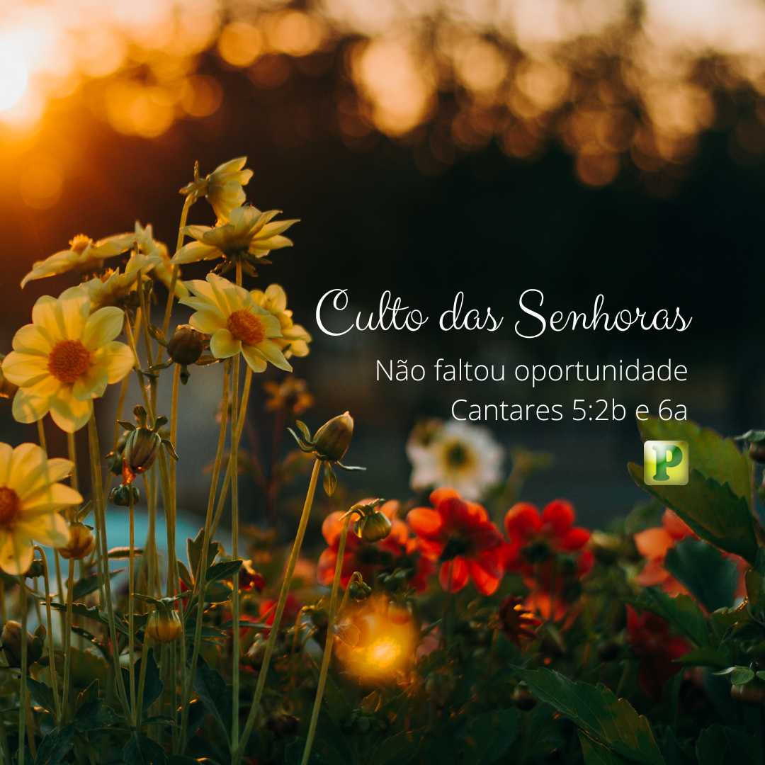 Mateus 7:22-23 (Muitos dirão Senhor Senhor, em teu nome