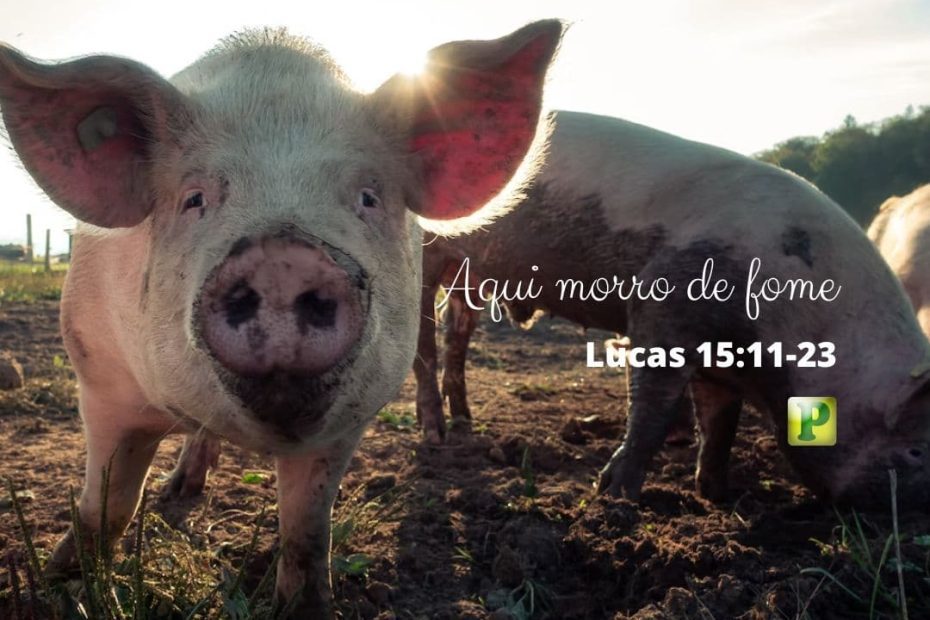 Aqui morro de fome - Lucas 15:11-23