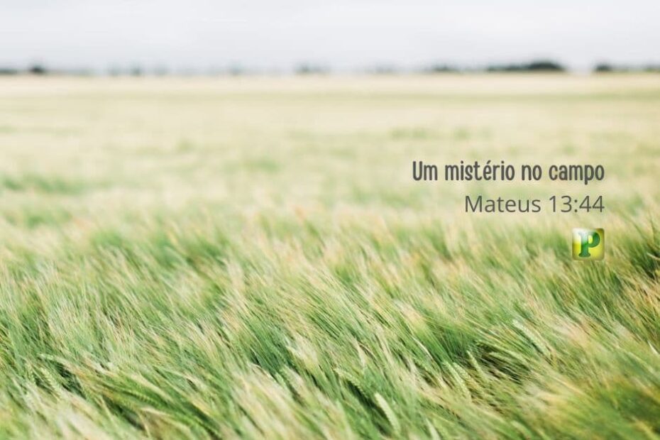 Um mistério no campo - Mateus 13:44