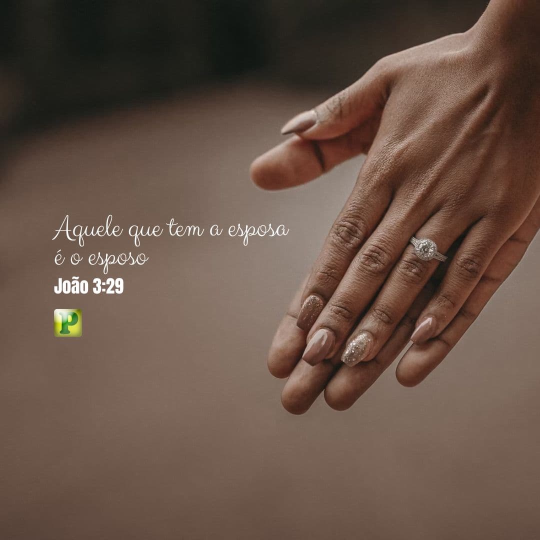 Aquele que tem a esposa é o esposo - João 3:29