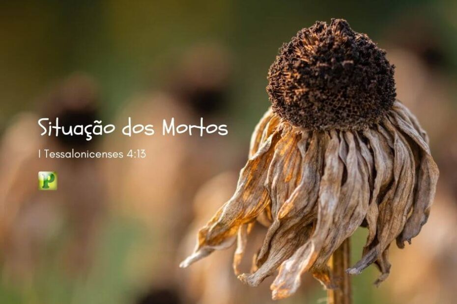 A Situação dos Mortos - I Tessalonicenses 4:13