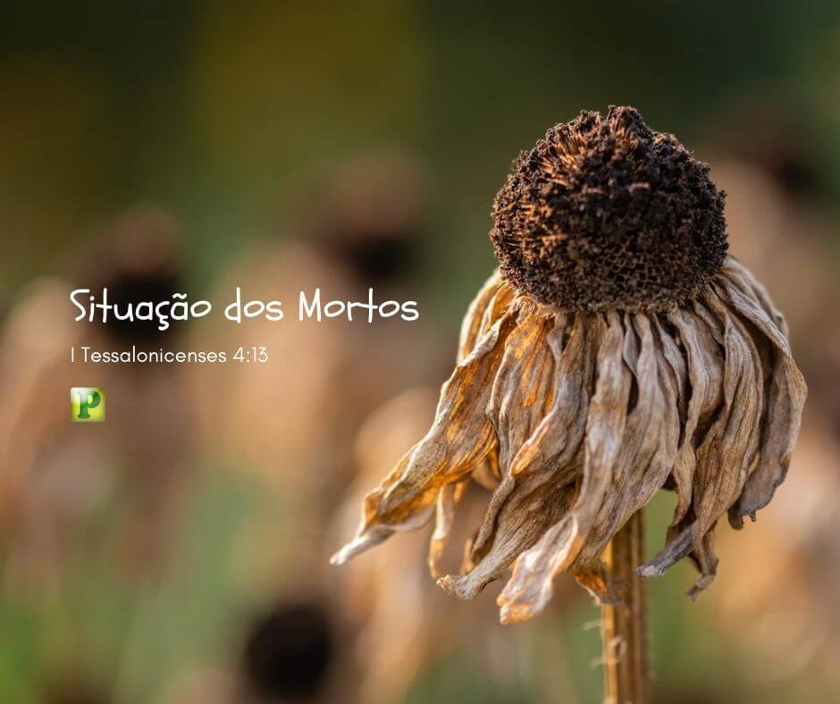 A Situação dos Mortos - I Tessalonicenses 4:13