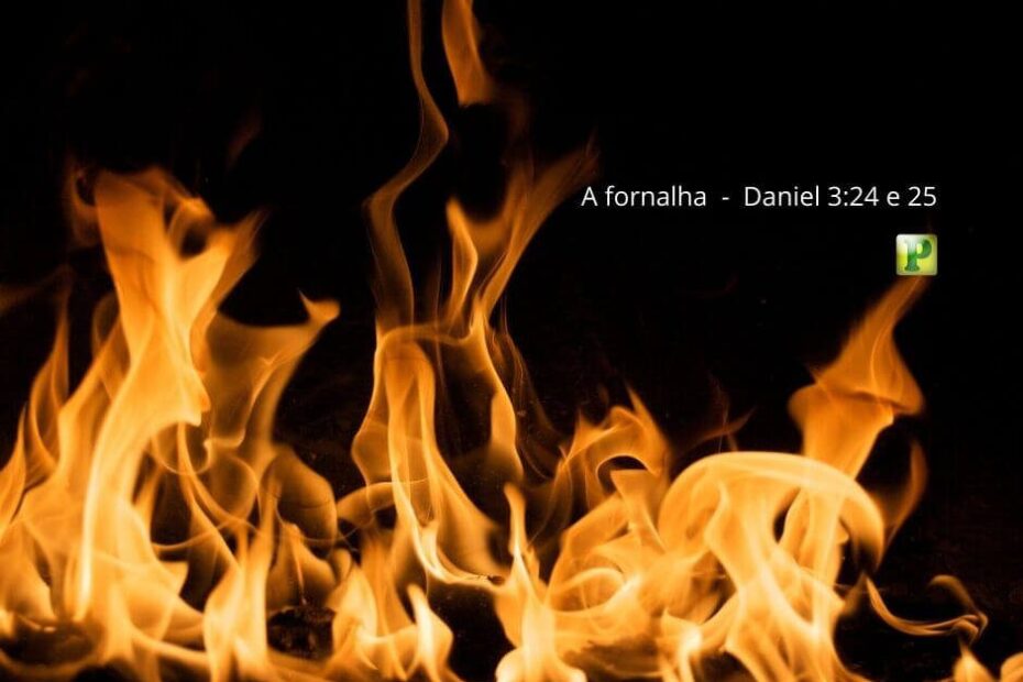 A fornalha - Pregação Expositiva em Daniel 3:24-25