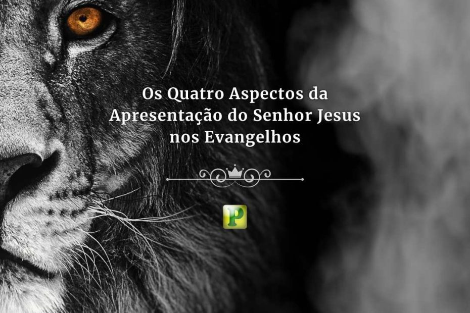 Senhor Jesus nos Evangelhos - Apostila