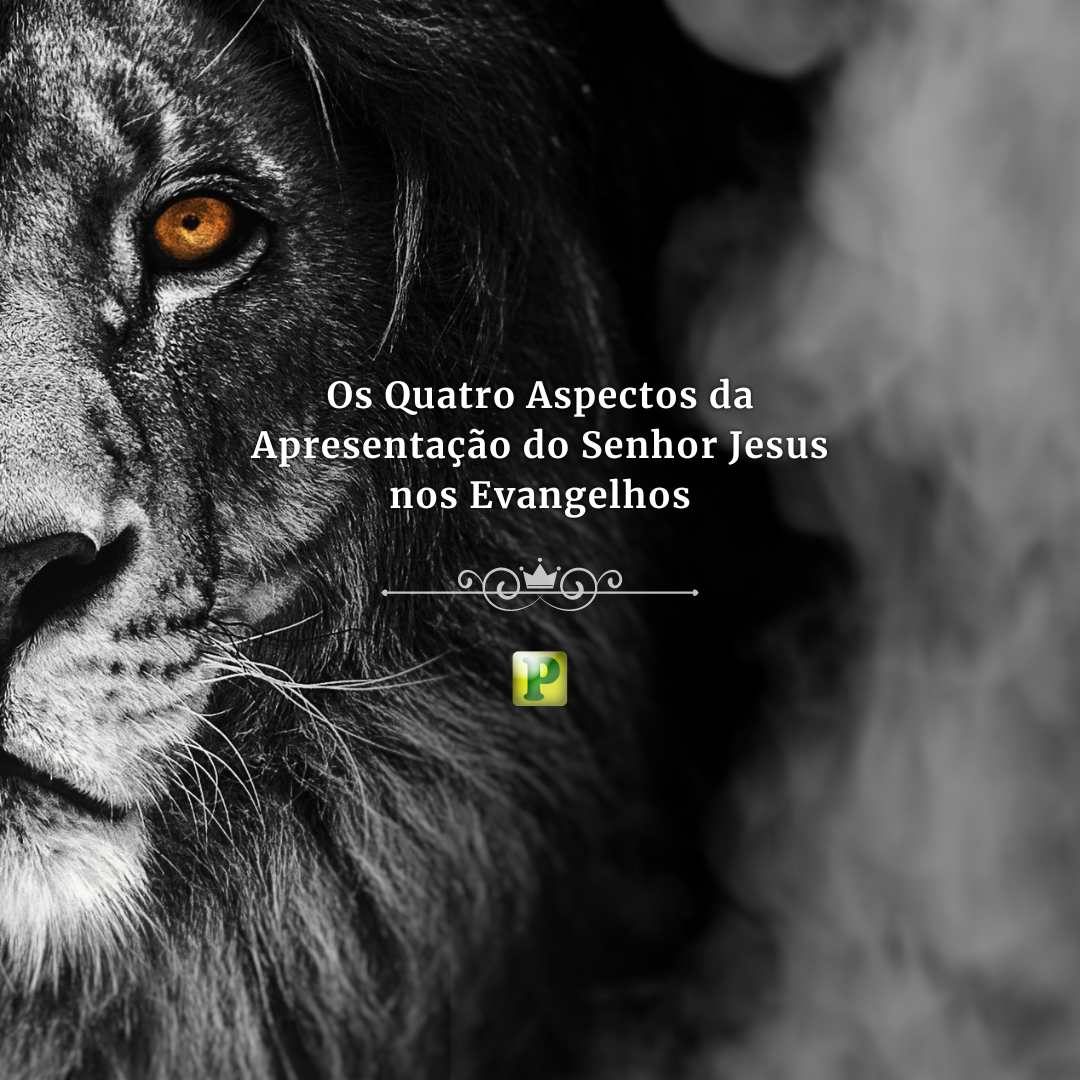 Senhor Jesus nos Evangelhos - Apostila