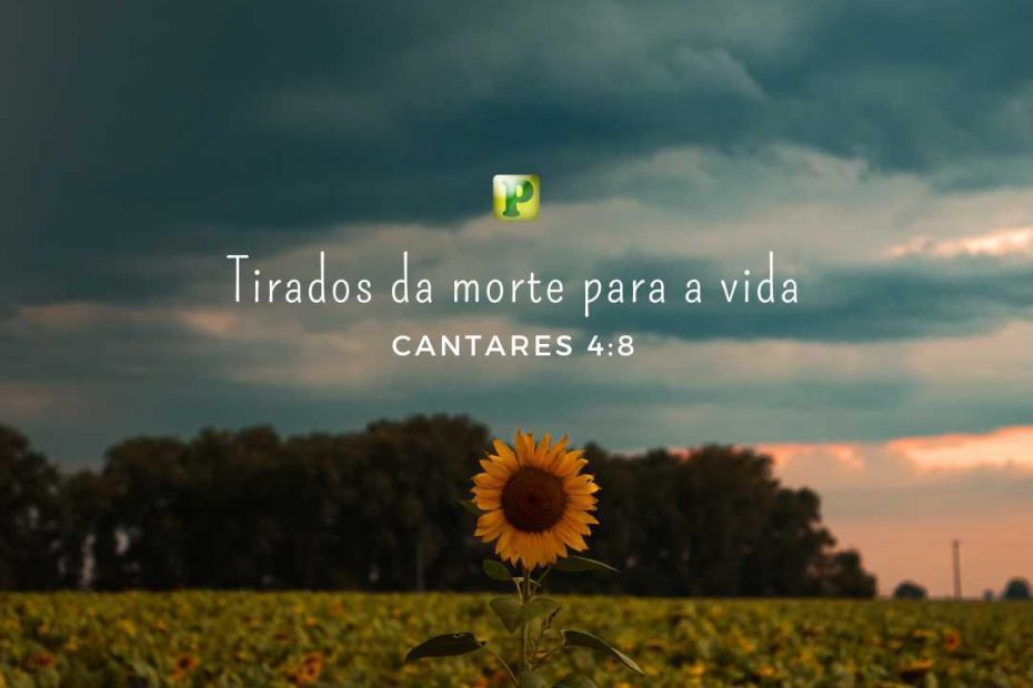 Tirados da morte para a vida - Cantares 4:8 - Pregação - Esboço de Pregação