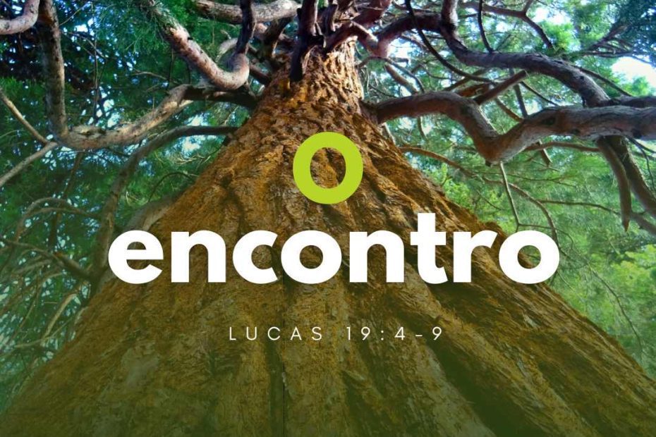 O encontro - Lucas 19:4-9