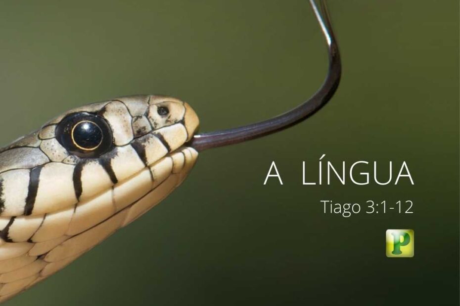 A LÍNGUA - Estudo bíblico Temático em Tiago 3:1-12