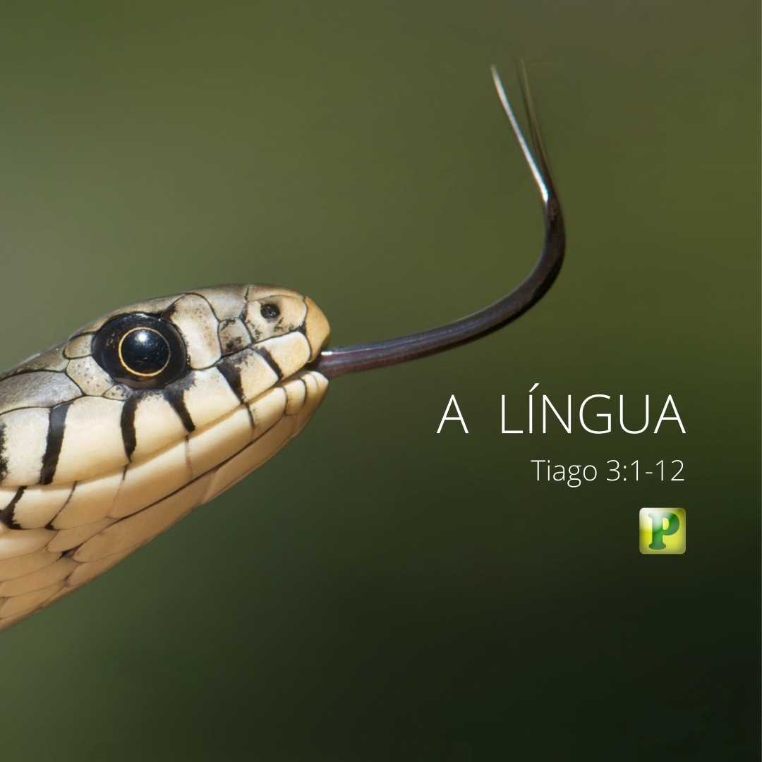A LÍNGUA - Estudo bíblico Temático em Tiago 3:1-12